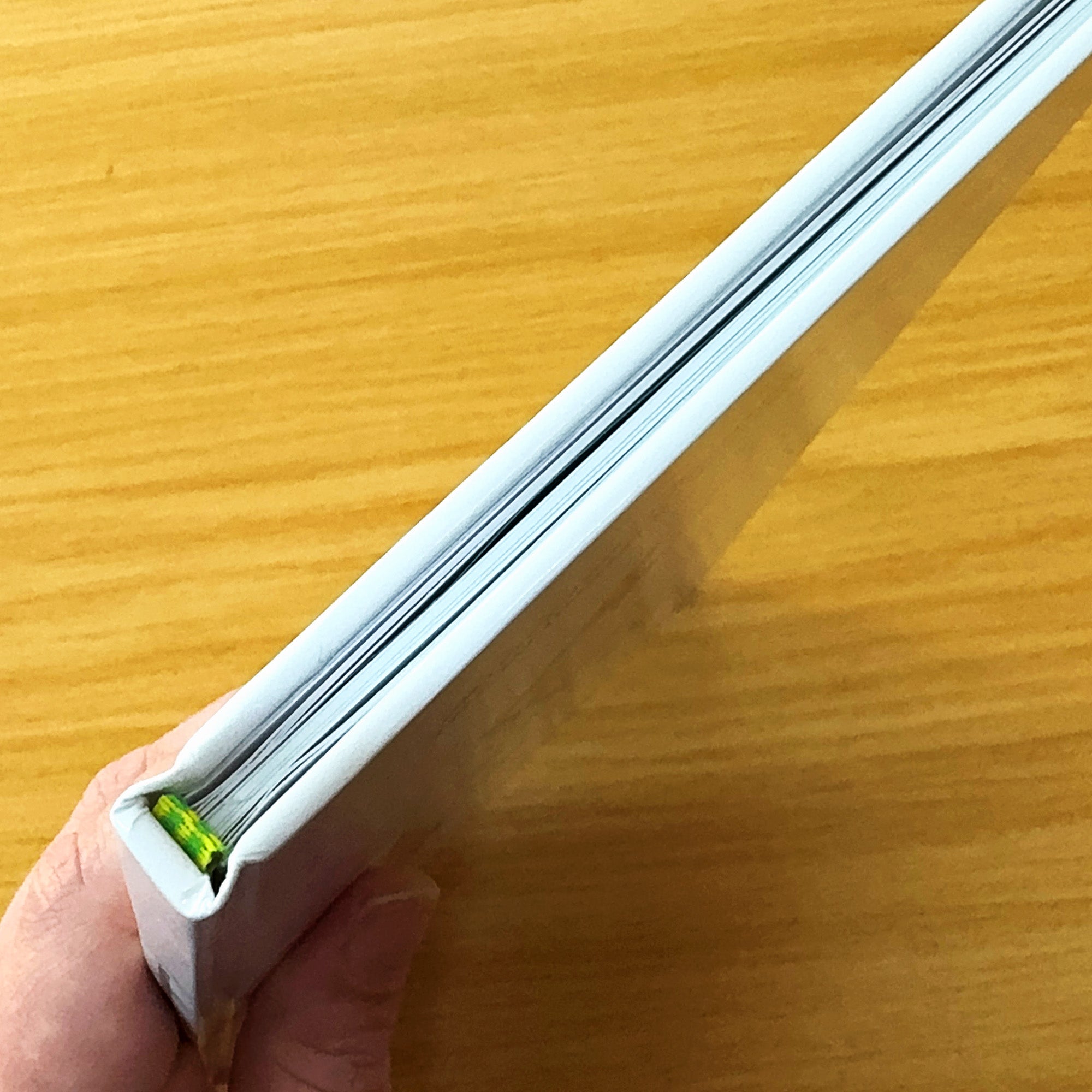 Chapter Two: Famous Food from Fistbump the Sky